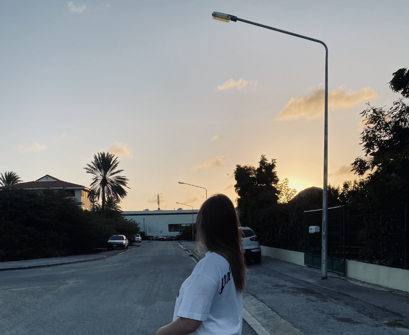 Beschermd: Brandbook